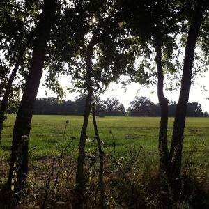 Meet your Posher, Daronda